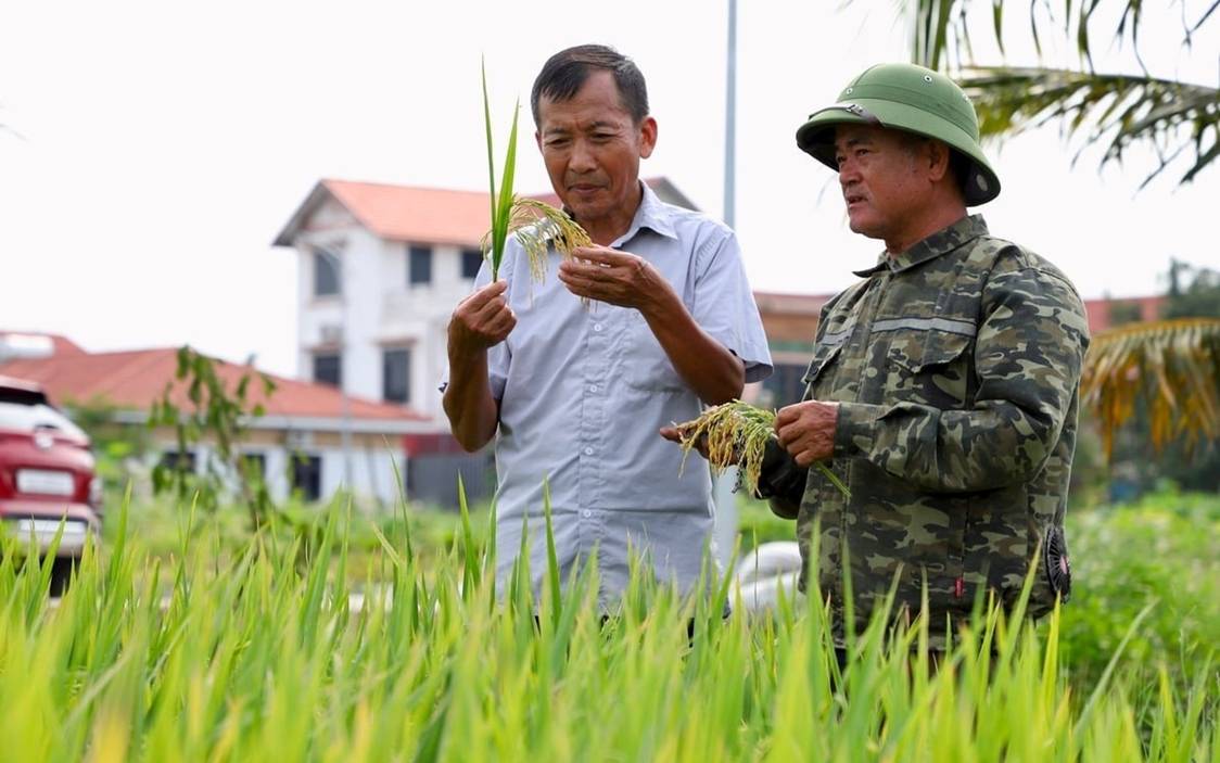 Định hình bộ khung giảm phát thải cho nông nghiệp Việt Nam
