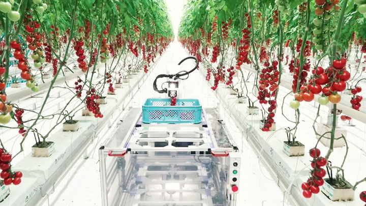 Cơ hội cho sinh viên ngành Nông nghiệp công nghệ cao Trường Đai học Nghệ An