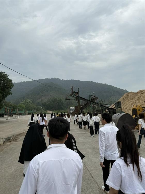 Cơ hội việc làm ngành Thương mại điện tử: Bắt nhịp xu thế kinh doanh số