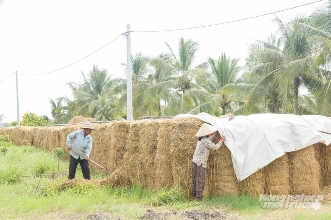 Nông nghiệp tuần hoàn không còn là khẩu hiệu